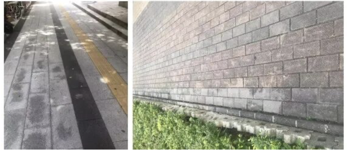 1769566872147504.png 2.png