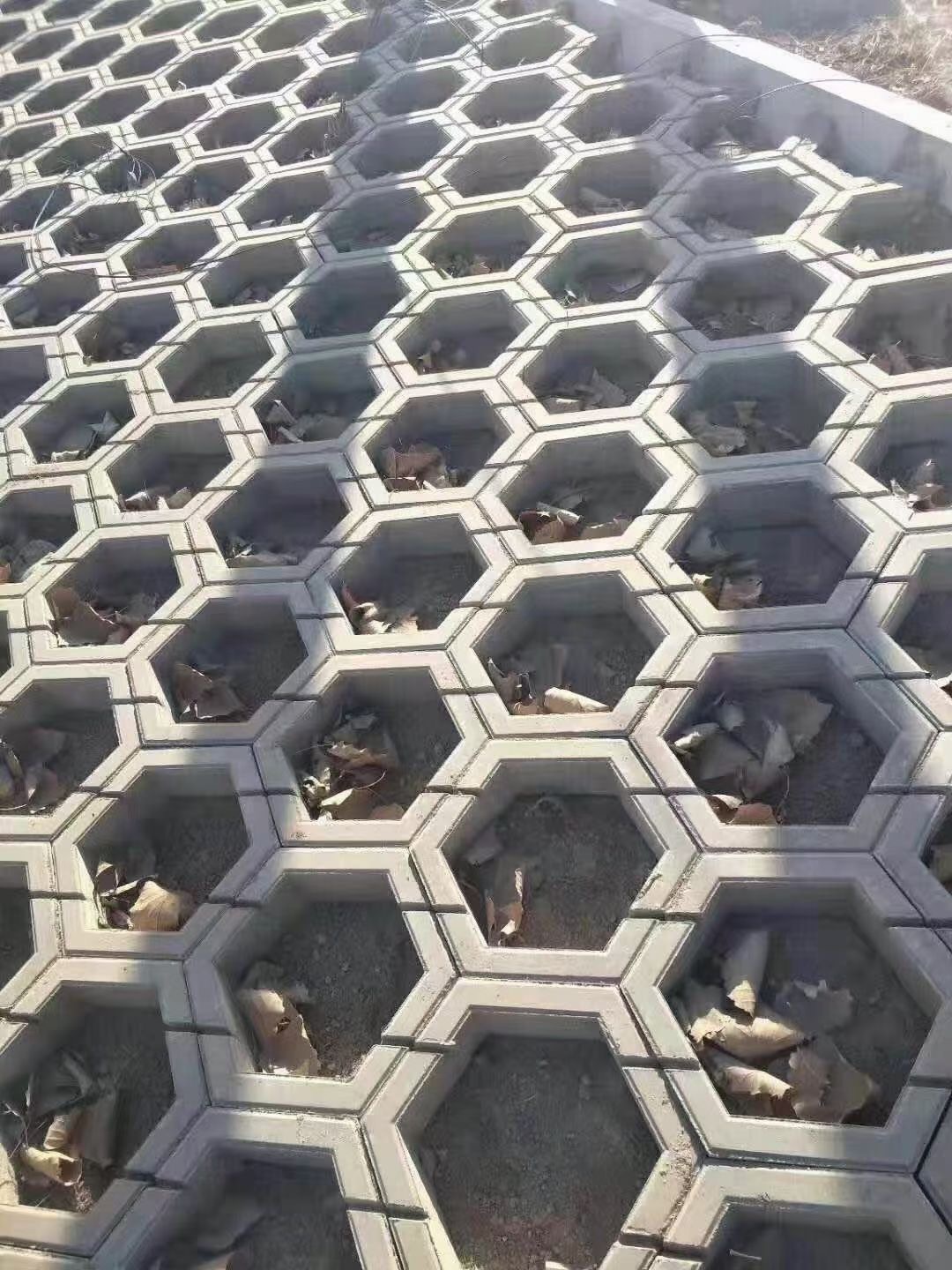 微信图片_20260823154713_61_141.jpg